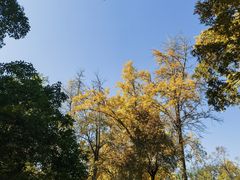 -虞山风景区
