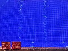 -忆江南·临江鱼馆