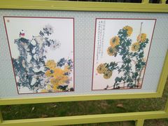 -青枫公园