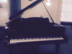-梅纳·钢琴声乐架子鼓Mena Music(双井店)