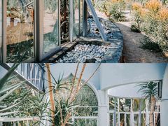 -深圳市中科院仙湖植物园