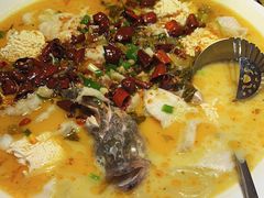 -川味堂·四川豆花(八卦岭店)
