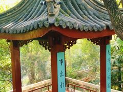 -北极阁公园