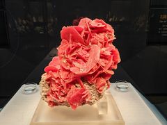 -湖南省地质博物馆