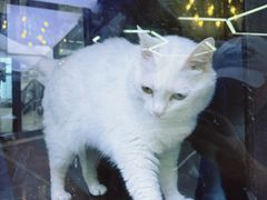 -弓舍射箭俱乐部(高新总店)