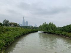 -深圳湾公园(南山区)