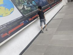 -中华赏石园
