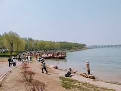 -丁香湖公园