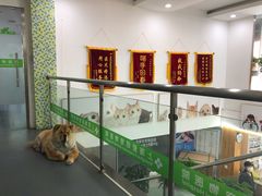 -爱侣宠医·鹦鹉专科·小型哺乳类·异宠专科(灵石路店)