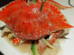 -松沪名灶·豆浆鱼头·新上海菜(飞航吾悦广场店)