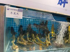 -胖姐渔村(中源大道店)