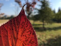 -杭州城北体育公园