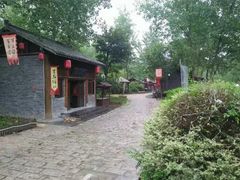 -合肥滨湖国家森林公园