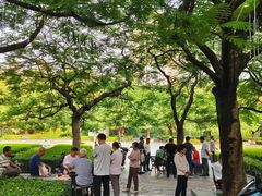 -缘生态云南菜·野生菌庭院餐厅(华侨城店)