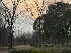 -上海崧泽遗址博物馆