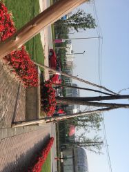 -成都市妇女儿童中心医院(中心院区)