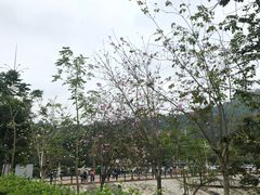 -凤岗南门山森林公园