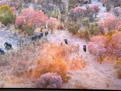 -罗红摄影艺术馆