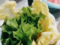 -探窝·竹笙椰子鸡(杨箕店)