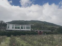 -亚龙湾国际玫瑰谷