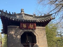 -泰山风景名胜区-普照寺