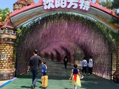 -沈阳方特欢乐世界