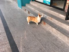 -河风精致寿司(昌平店)