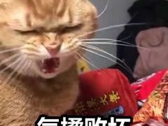 -万利记·长沙粉面小吃(8号仓店)