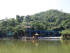 -西双版纳原始森林公园