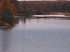 -塞罕坝国家级自然保护区