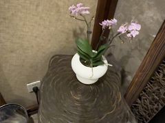 -华夏良子·足道SPA艾灸(山东大厦店)