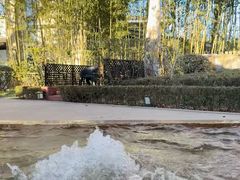 -春晖园度假酒店温泉