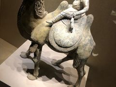 -宁夏博物馆