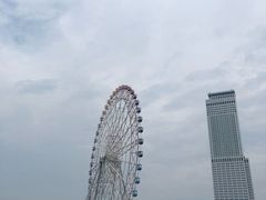 -大起水产回转寿司(りんくうシークル店)