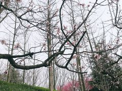 -不舍昼夜咖啡馆