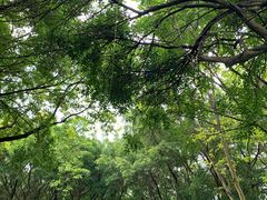 -深圳国际园林花卉博览园