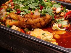 农家烤鱼-万重锦·人文川菜馆(骡马市店)