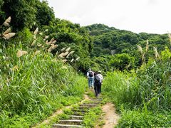 -阳台山森林公园