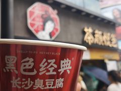 -黑色经典臭豆腐·湖南特产(潇湘文化店)