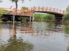 -白洋淀风景区