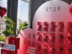 -利星行天竺之星汽车有限公司