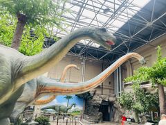 -国家自然博物馆