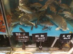 -台州卡金海鲜楼(上南路店)