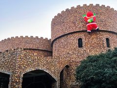 -J Create城市露营咖啡·简餐·宠物(上海动物园店)