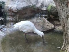 -杭州野生动物世界