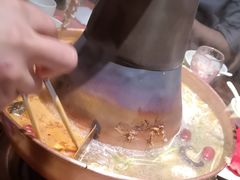 -番食园鲜食火锅(高新店)