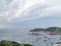 -枸杞岛