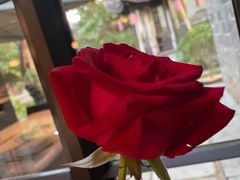 -民国红公馆(老门东店)