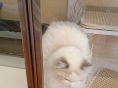 -老炮儿轰趴团建KTV桌游棋牌主题馆(五道口店（底商店))