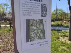-滨河世纪广场公园